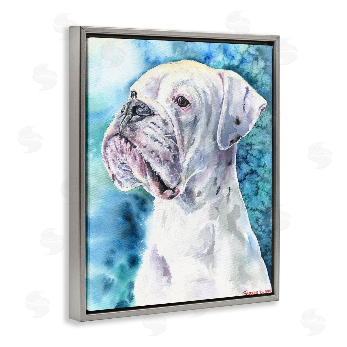 George Dyachenko White Boxer Gaze Pet Dog over Blue Gray Floater Frame Canvas Art