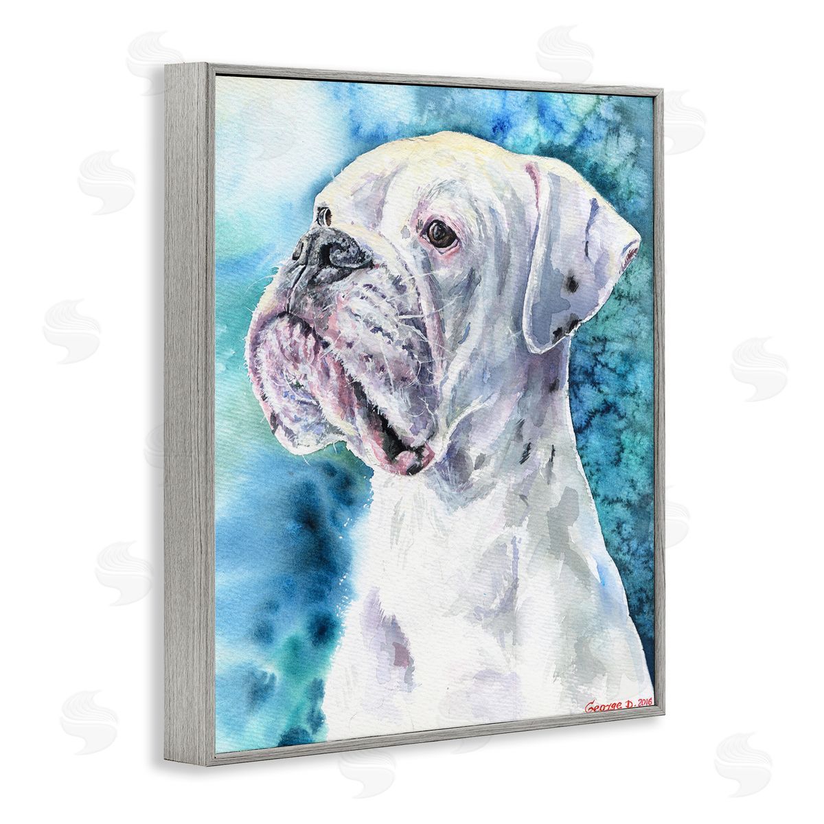 George Dyachenko White Boxer Gaze Pet Dog over Blue Gray Framed Giclee Wall Art