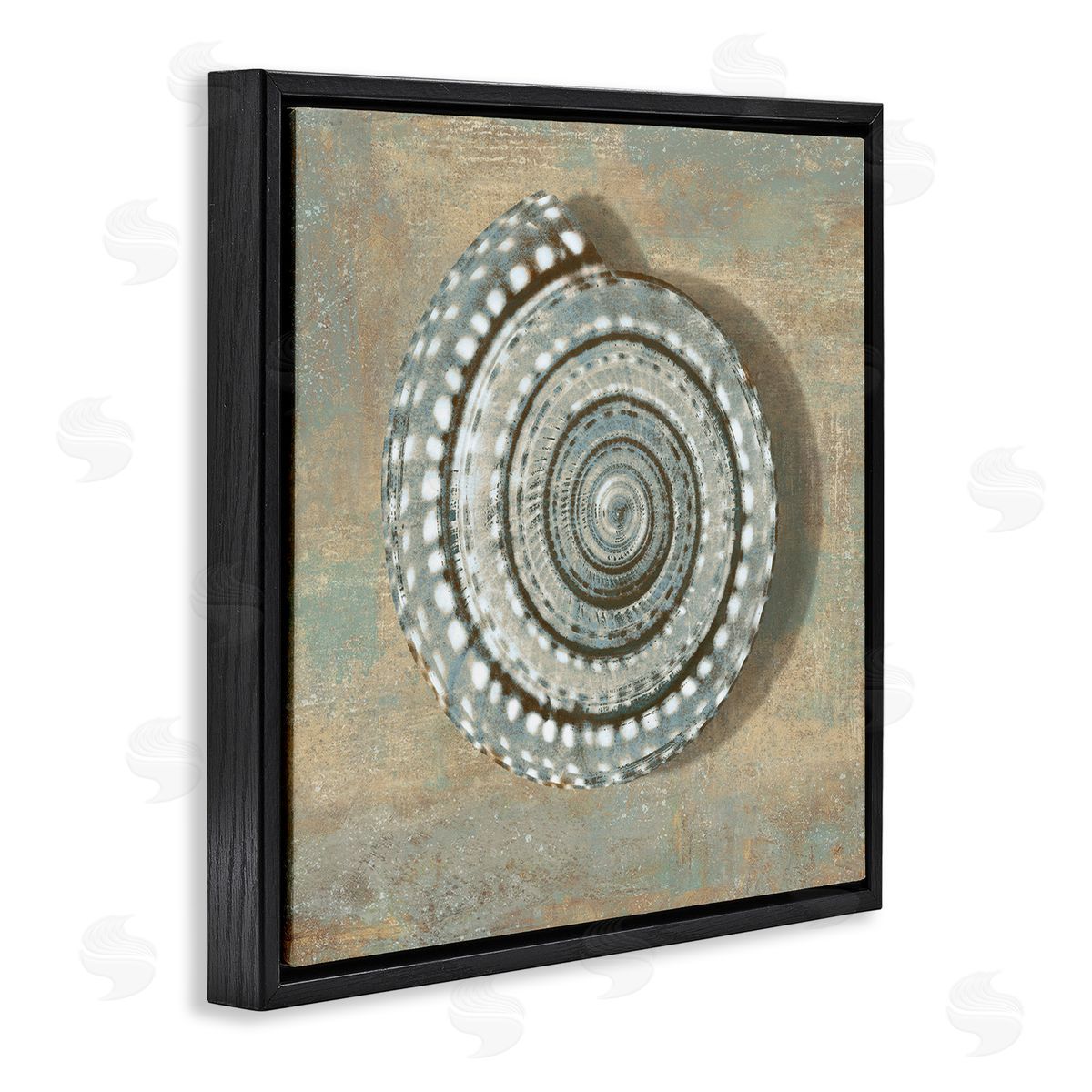 Caroline Kelly Nautical Spiral Shell Vintage Coastal Muted Neutral Black Floater Frame Canvas Art