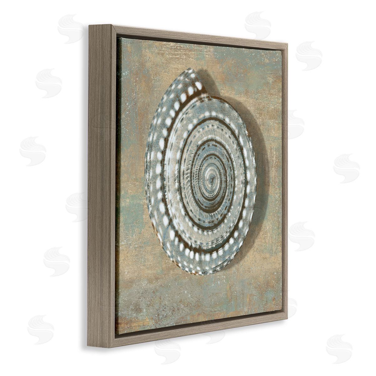 Caroline Kelly Nautical Spiral Shell Vintage Coastal Muted Neutral Brown Floater Frame Canvas Art