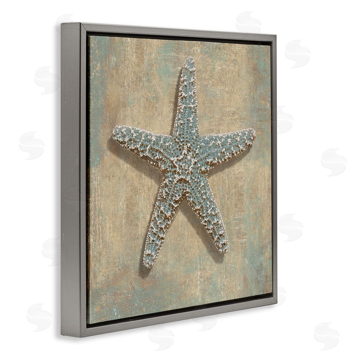 Caroline Kelly Nautical Starfish Ocean Animal Muted Neutral Gray Floater Frame Canvas Art