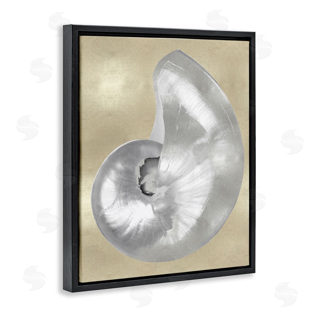 Caroline Kelly Glam Nautilus Shell Soft Grey Neutral over Beige Black Floater Frame Canvas Art