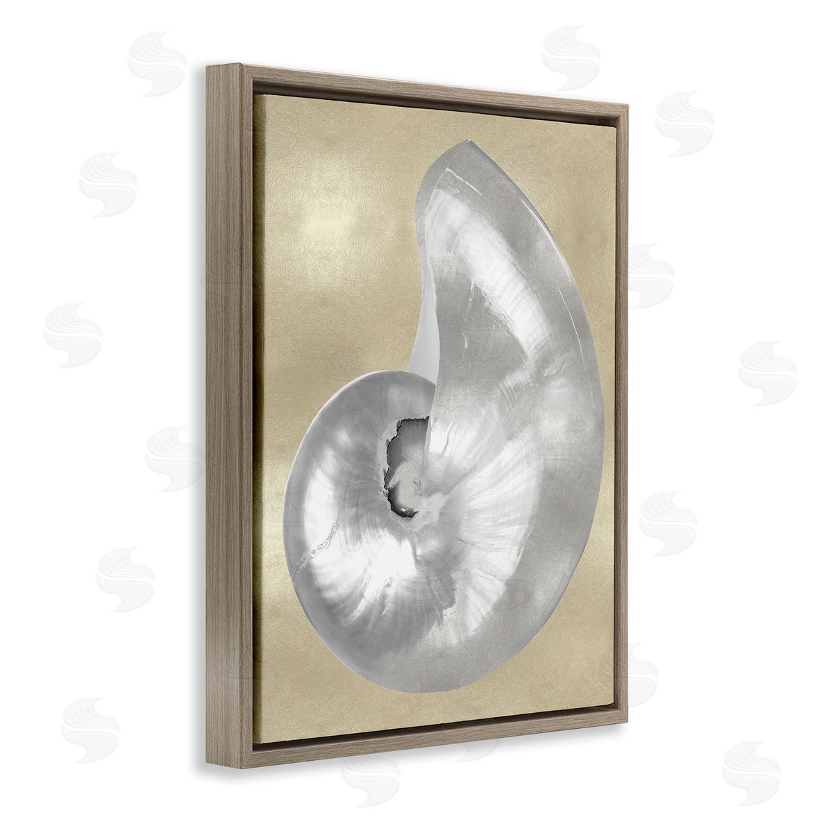 Caroline Kelly Glam Nautilus Shell Soft Grey Neutral over Beige Brown Floater Frame Canvas Art