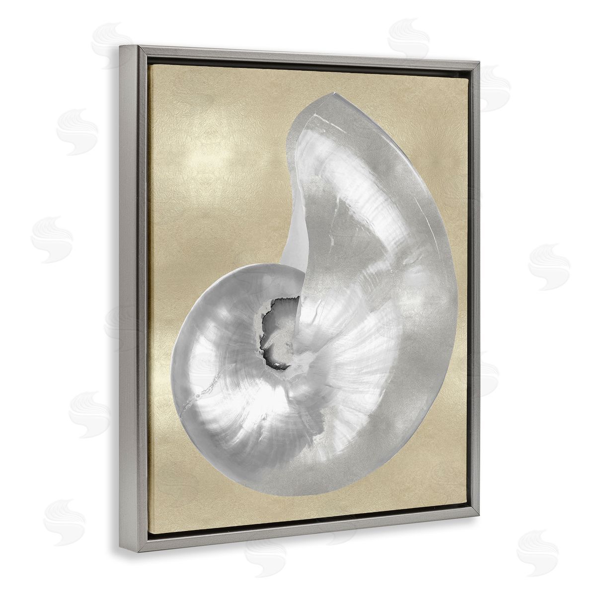 Caroline Kelly Glam Nautilus Shell Soft Grey Neutral over Beige Gray Floater Frame Canvas Art
