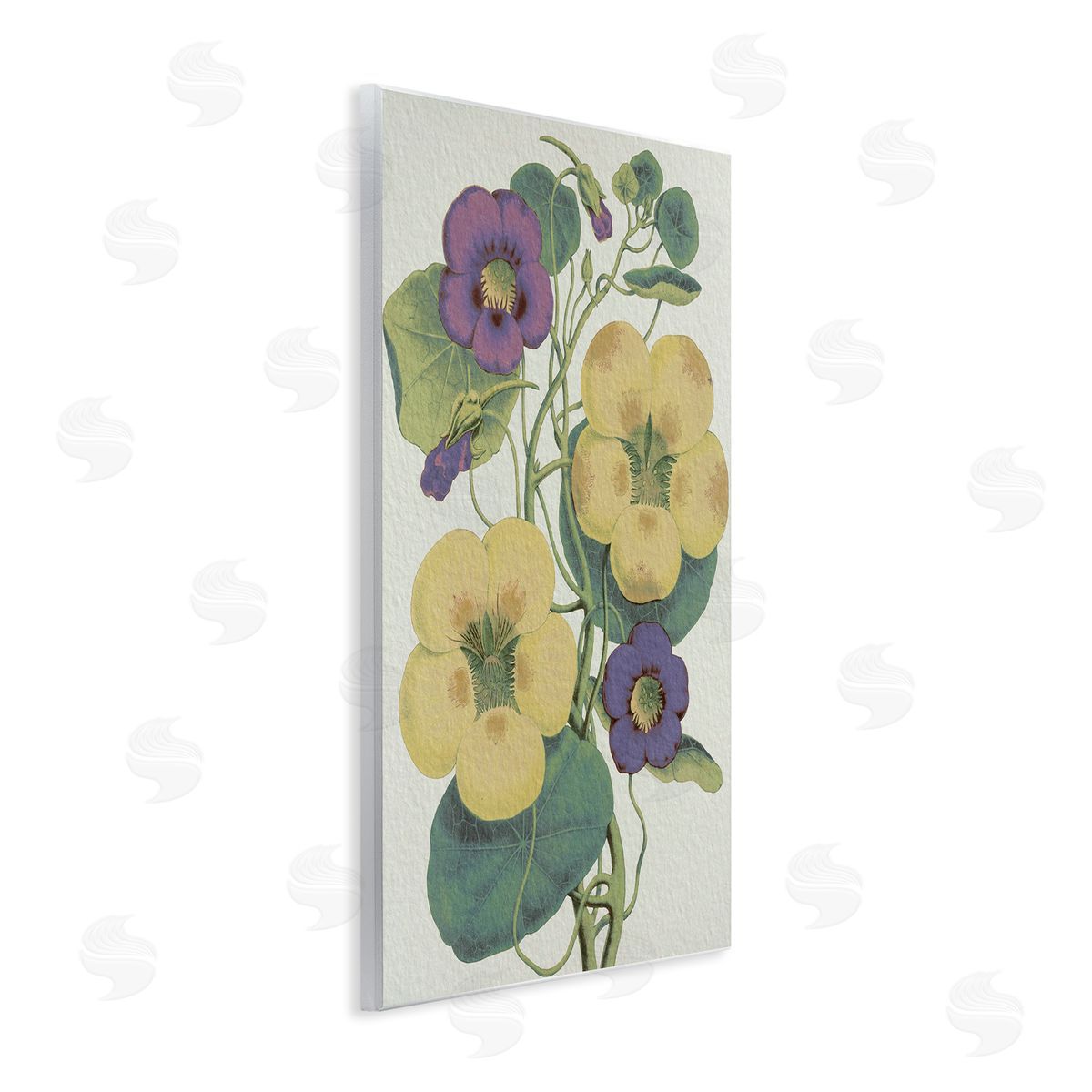 Stupell Studio Vintage Pansies Purple Yellow Petals Garden Study Wall Plaque Art