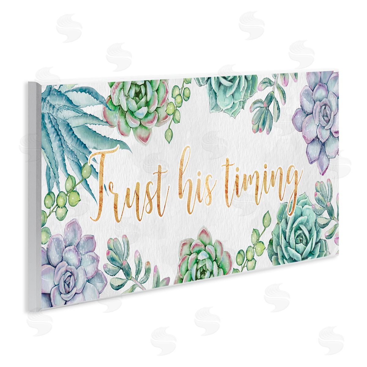 Ziwei Li Trust His Timing Sentiments Green Succulent Plants Wall Plaque Art