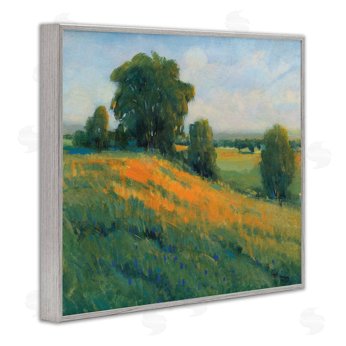 Tim O'Toole Green Rolling Hills Blue Poppy Fields Landscapes Gray Framed Giclee Wall Art