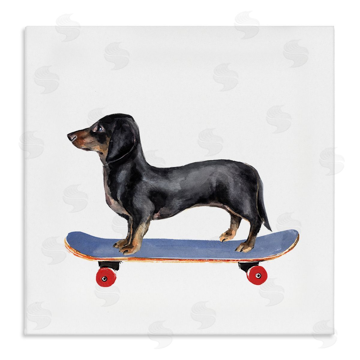 Annie Warren Dachshund Pet Dog on Blue Skateboard Stretched Canvas Wall Art Print