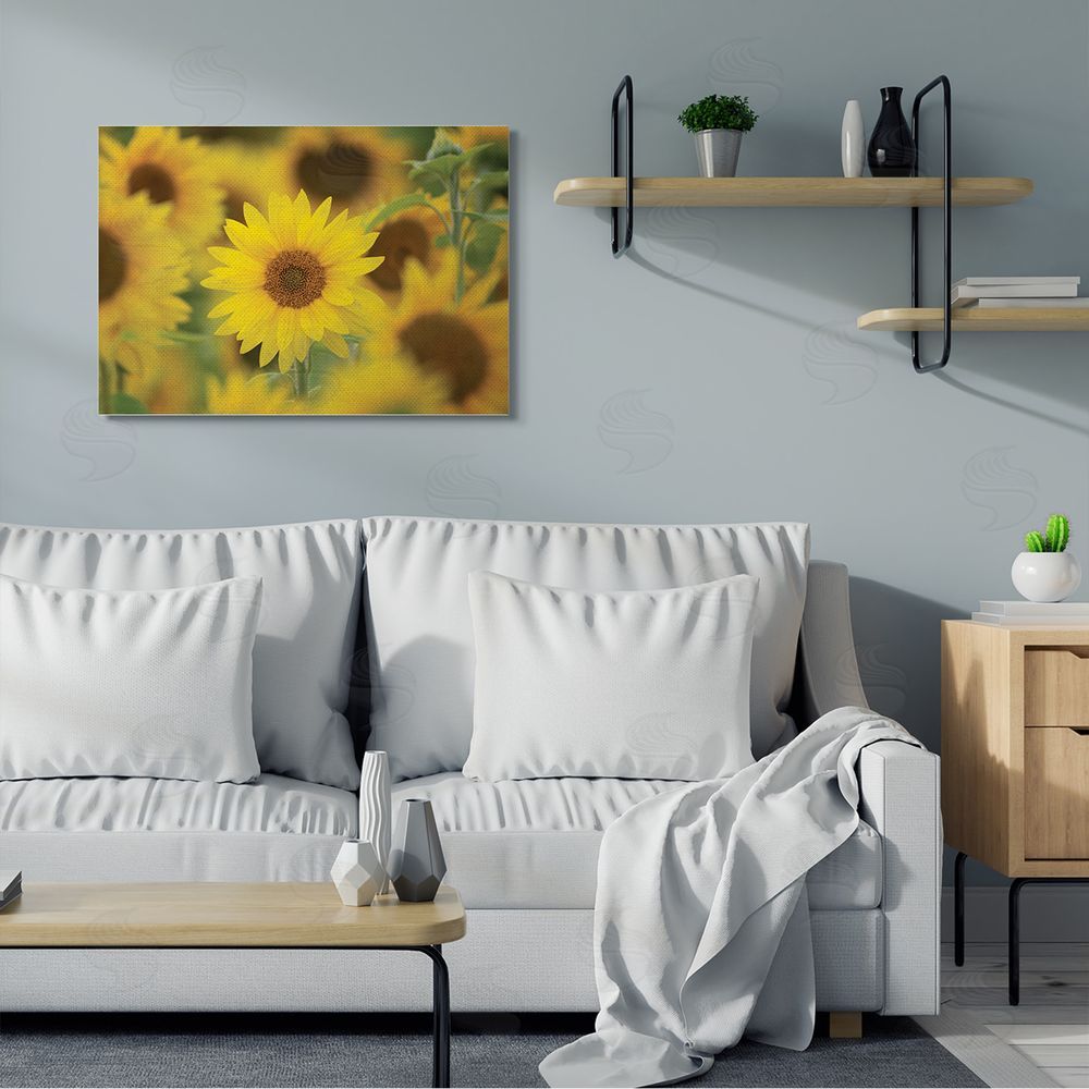 Nancy Crowell Yellow Sunflower Nursery Field Directed Focus
