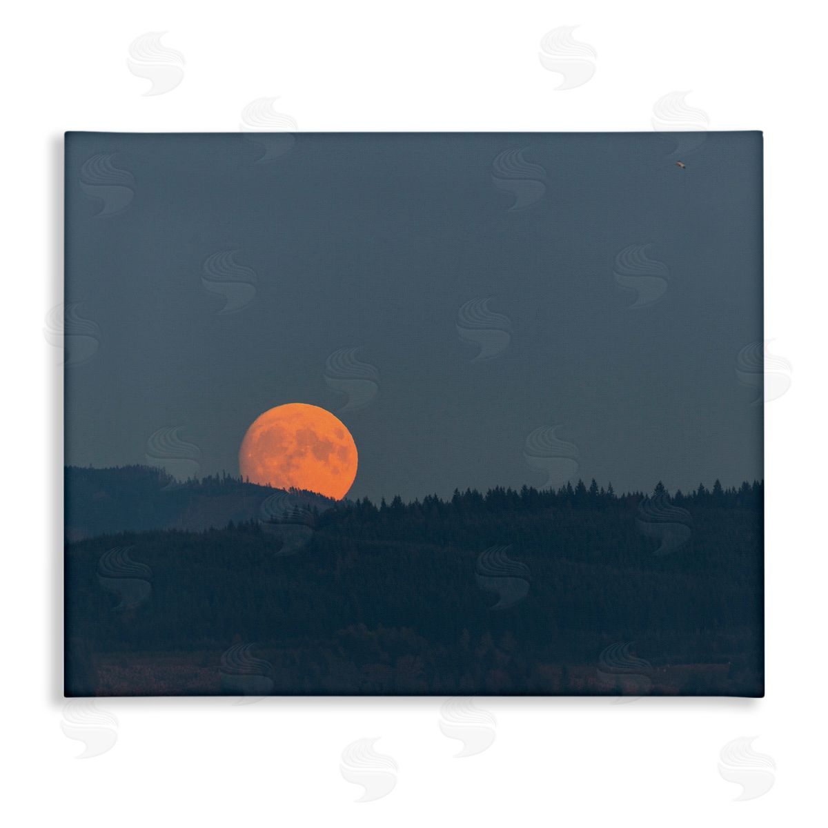 Nancy Crowell Orange Moon over Dark Mountain Tree Forest