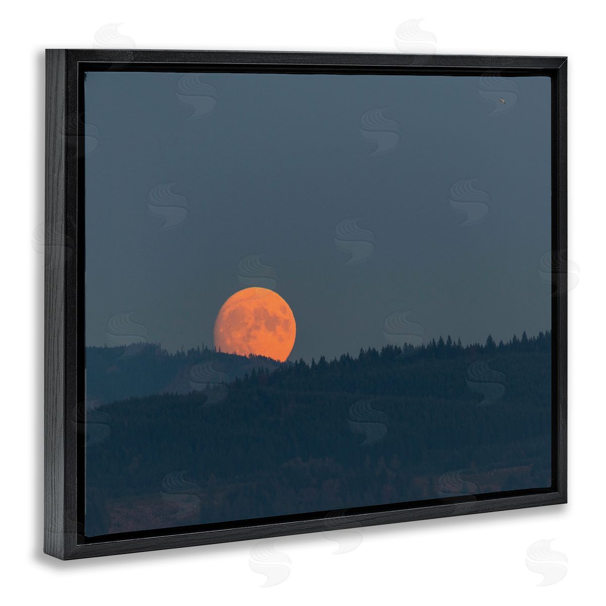Nancy Crowell Orange Moon over Dark Mountain Tree Forest