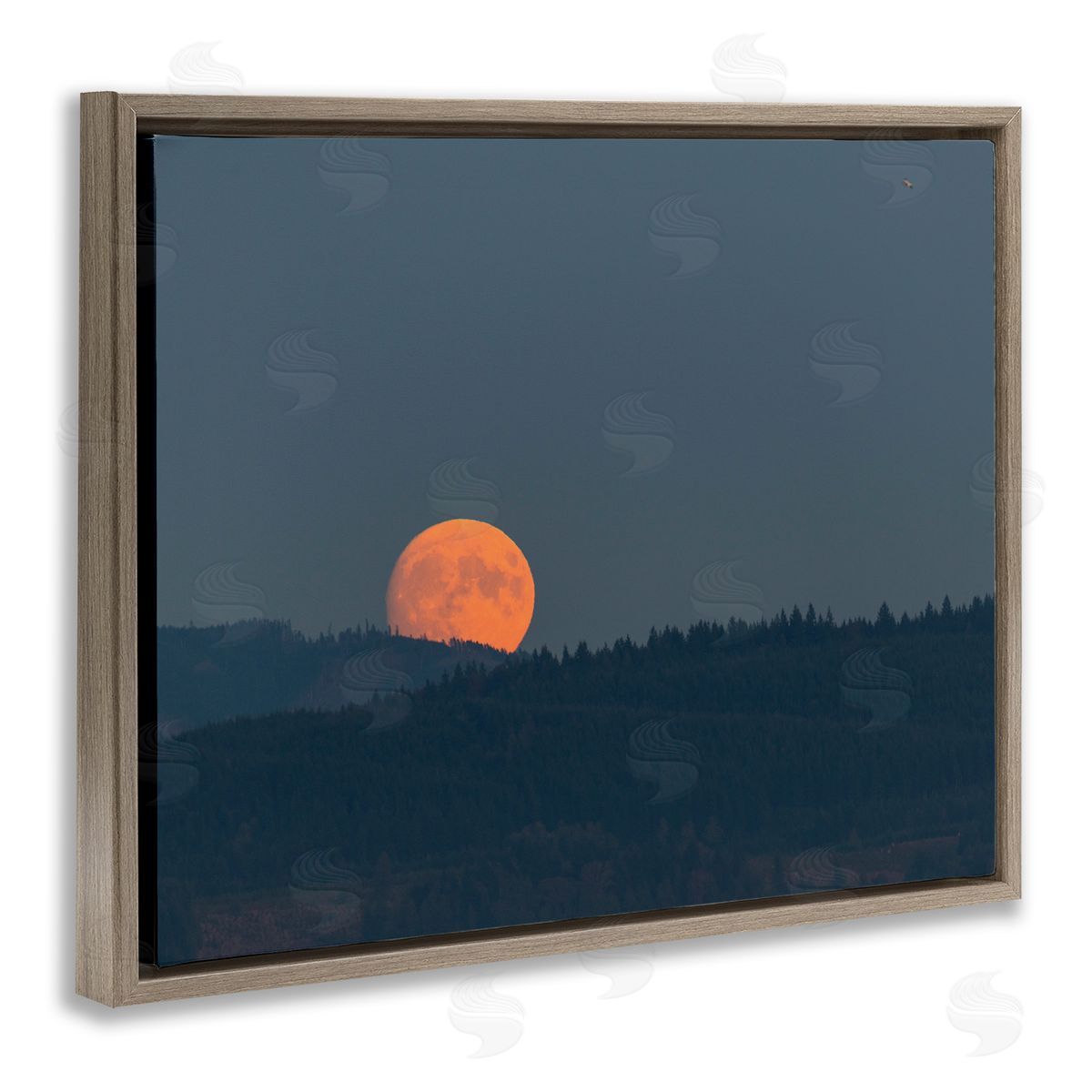 Nancy Crowell Orange Moon over Dark Mountain Tree Forest