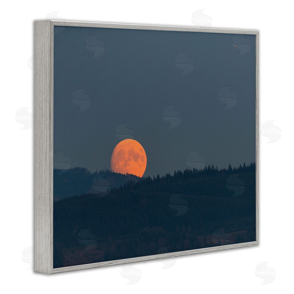 Nancy Crowell Orange Moon over Dark Mountain Tree Forest