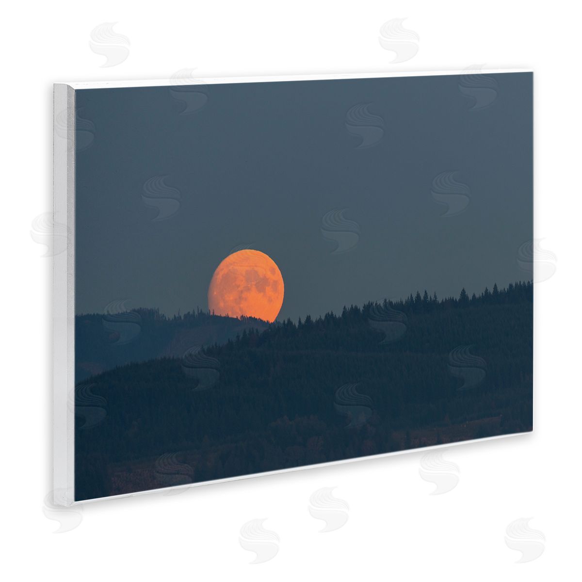Nancy Crowell Orange Moon over Dark Mountain Tree Forest