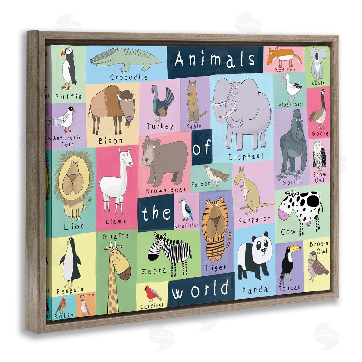 Carla Daly Animals of the World Guide to Whimsical Animals
