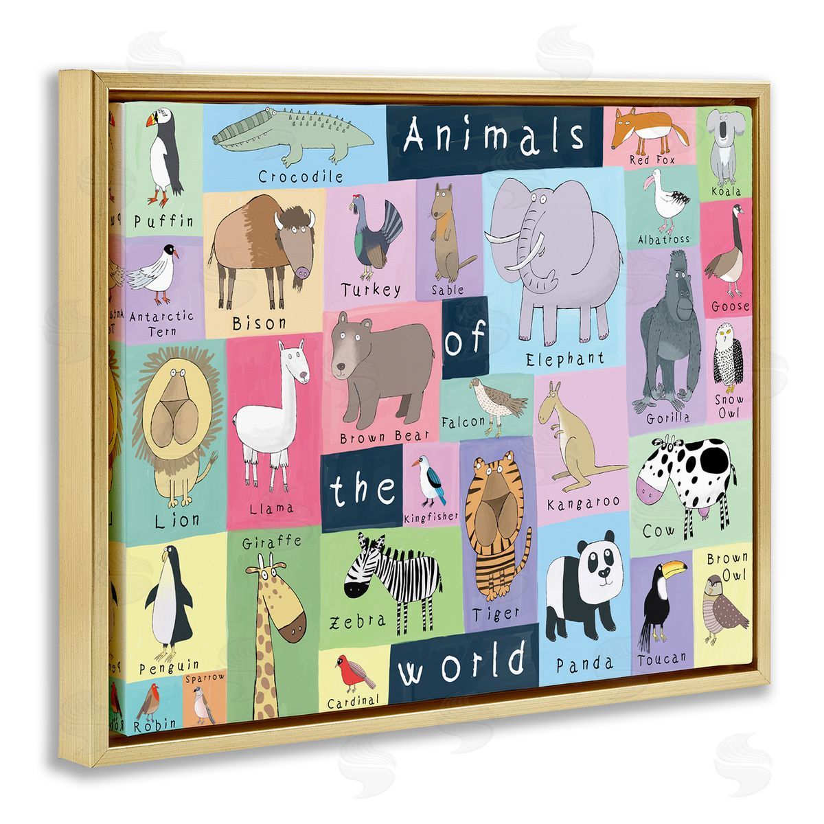 Carla Daly Animals of the World Guide to Whimsical Animals