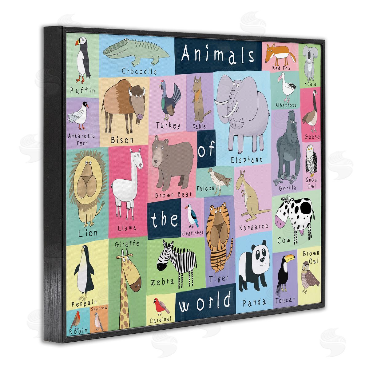 Carla Daly Animals of the World Guide to Whimsical Animals
