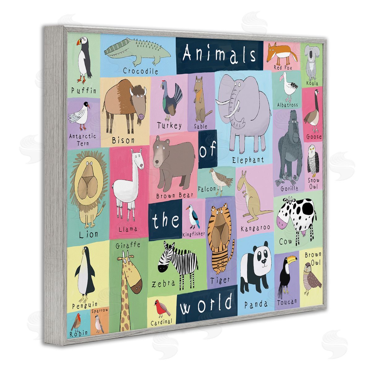 Carla Daly Animals of the World Guide to Whimsical Animals