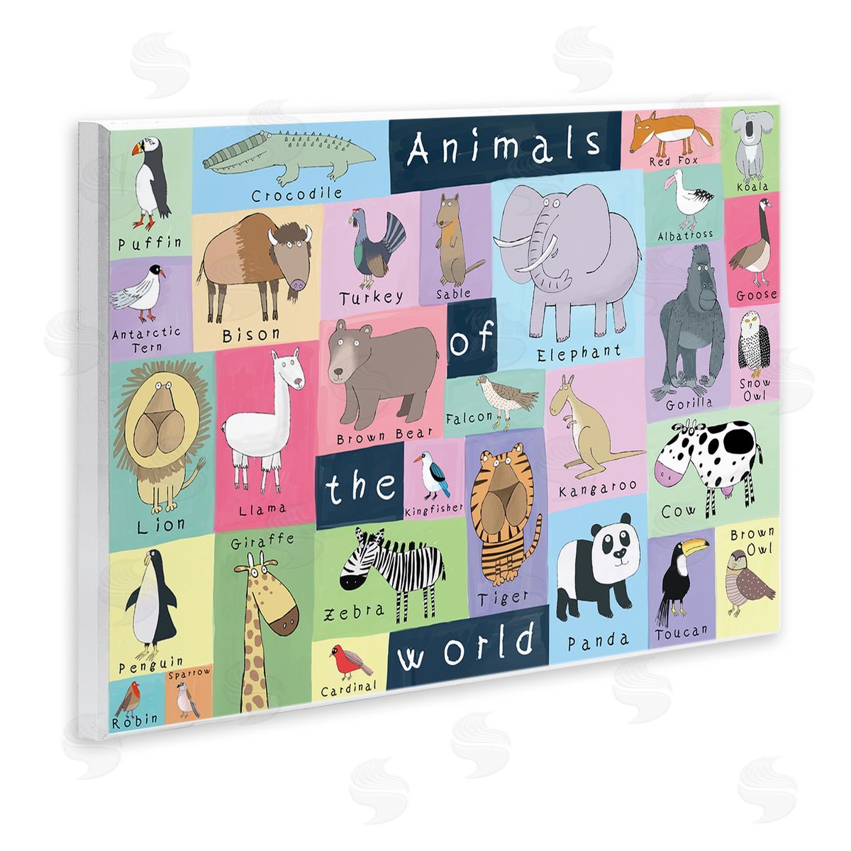 Carla Daly Animals of the World Guide to Whimsical Animals
