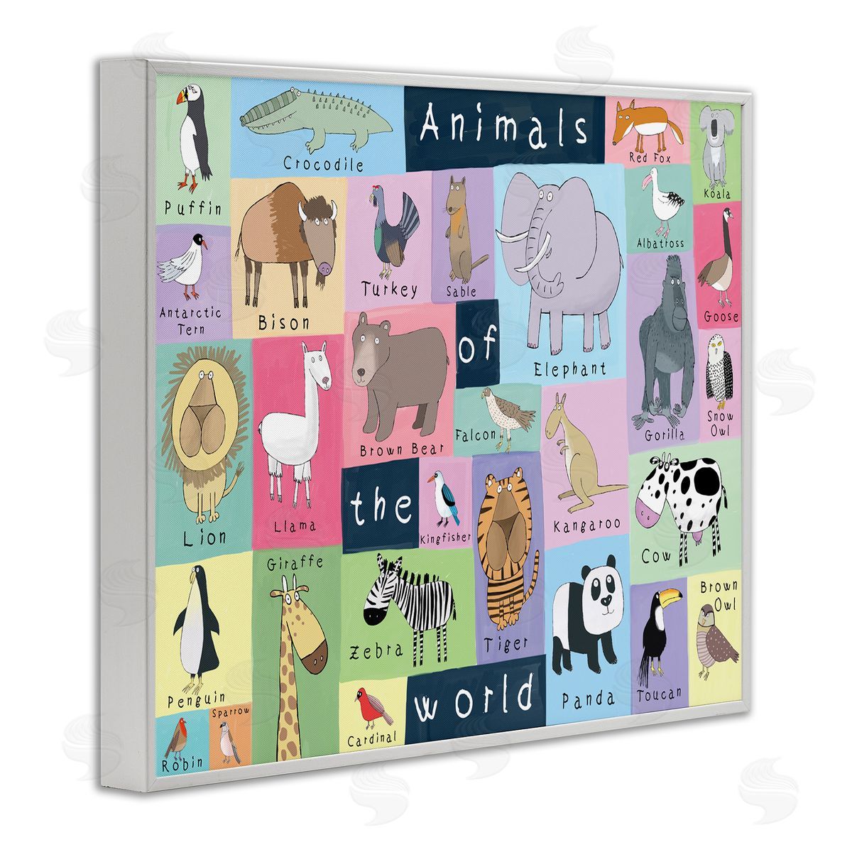 Carla Daly Animals of the World Guide to Whimsical Animals