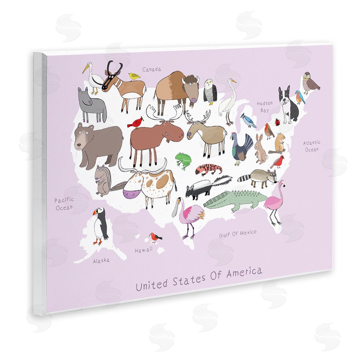 Carla Daly Pink United States Map of Wild Animals