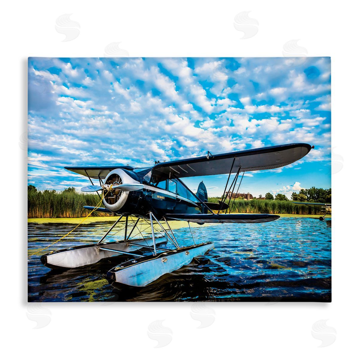 John Slemp Sea Plane on Wooded Lakefr_sideont Cloudy Sky