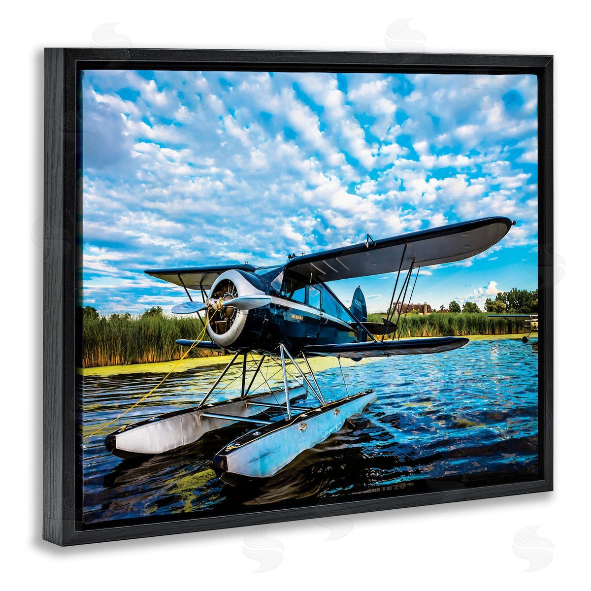 John Slemp Sea Plane on Wooded Lakefr_sideont Cloudy Sky