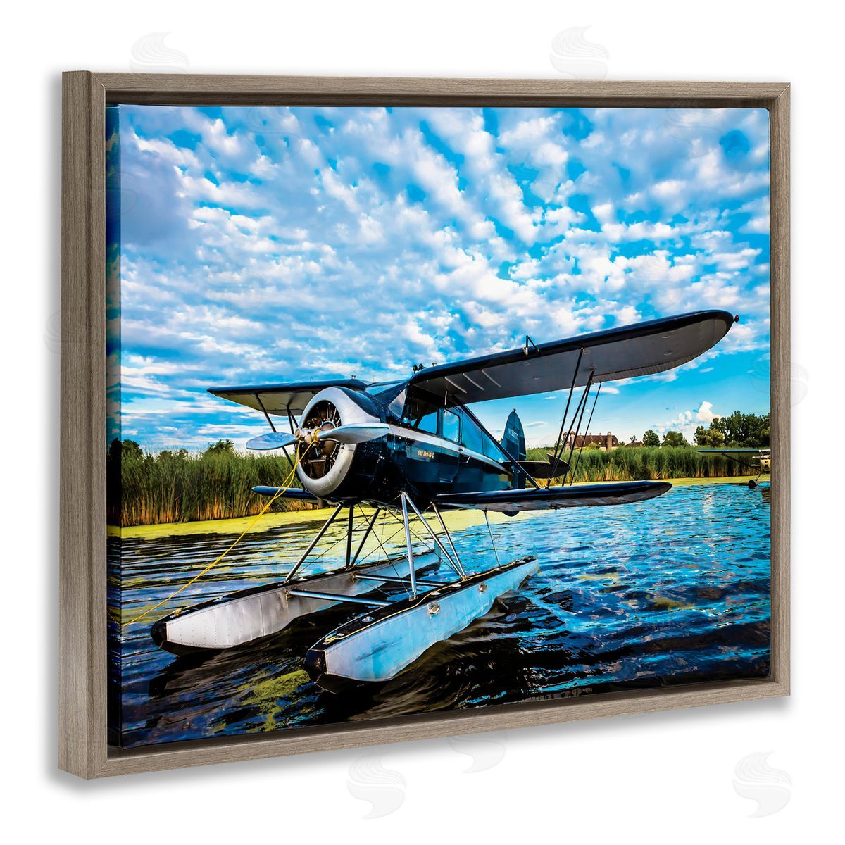 John Slemp Sea Plane on Wooded Lakefr_sideont Cloudy Sky