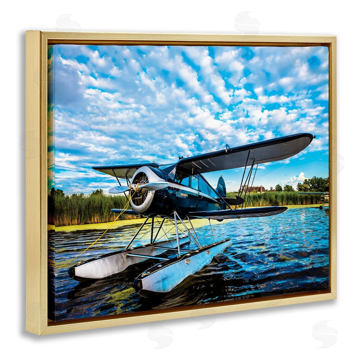 John Slemp Sea Plane on Wooded Lakefr_sideont Cloudy Sky