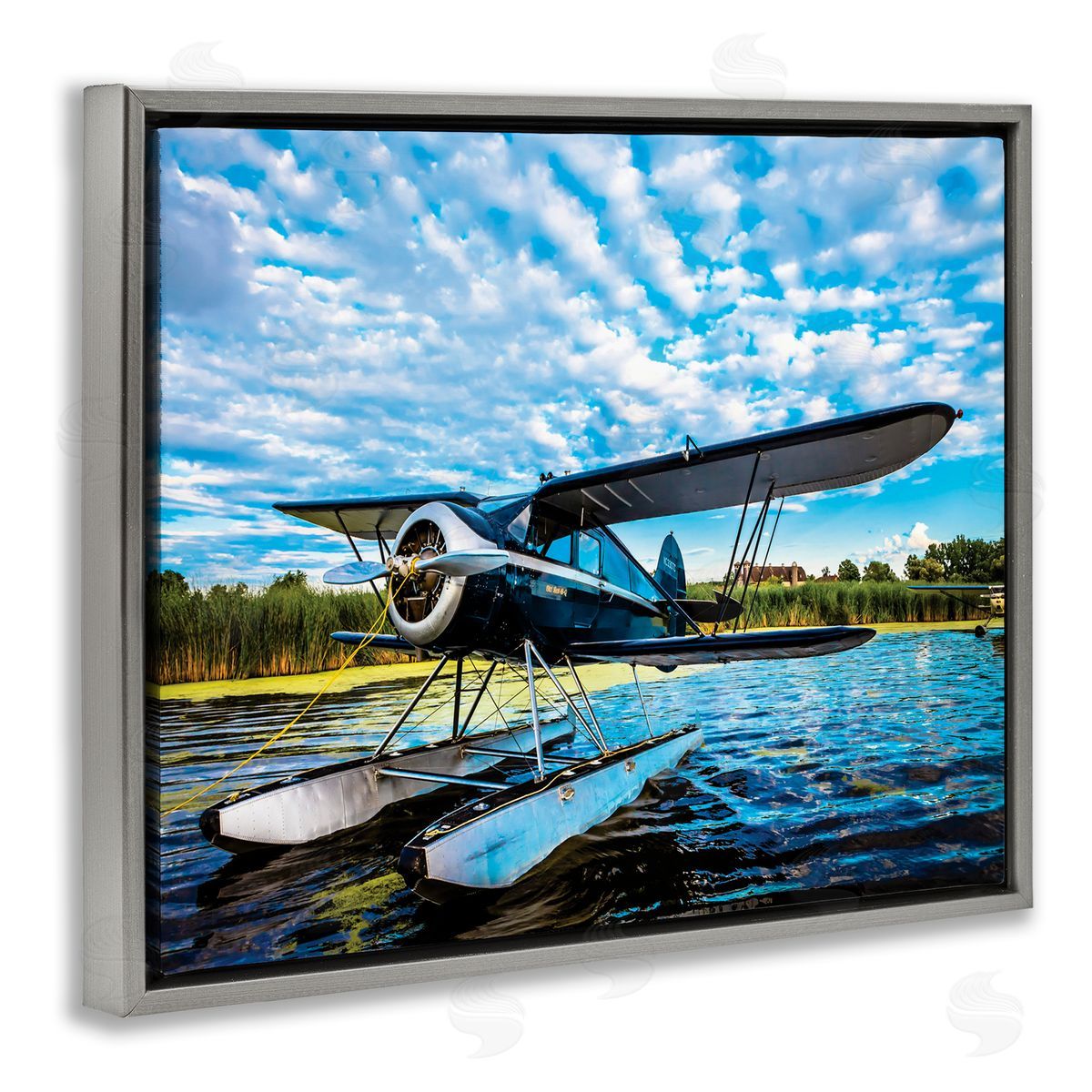 John Slemp Sea Plane on Wooded Lakefr_sideont Cloudy Sky