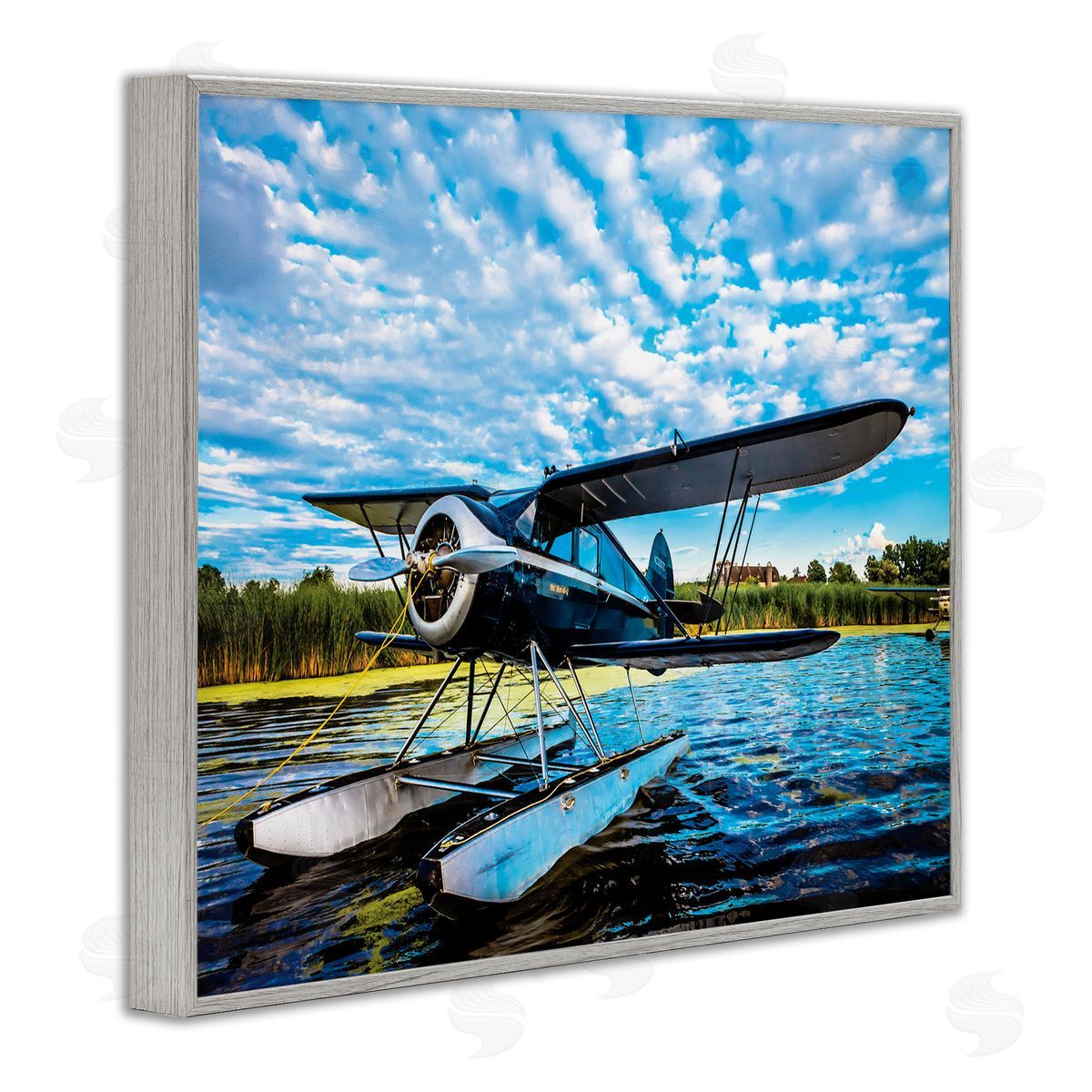 John Slemp Sea Plane on Wooded Lakefr_sideont Cloudy Sky