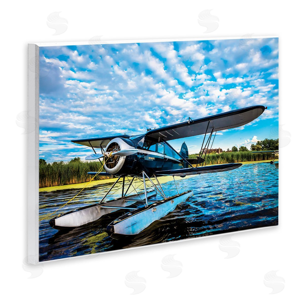 John Slemp Sea Plane on Wooded Lakefr_sideont Cloudy Sky