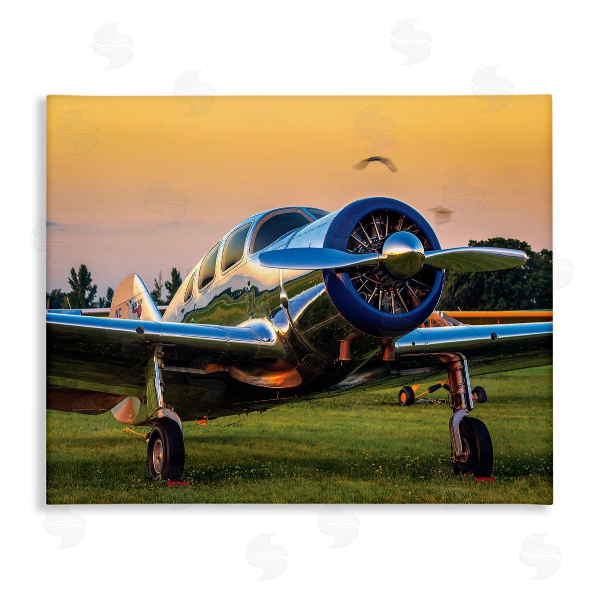 John Slemp Jet Plane in Meadow Summer Sunset Reflection
