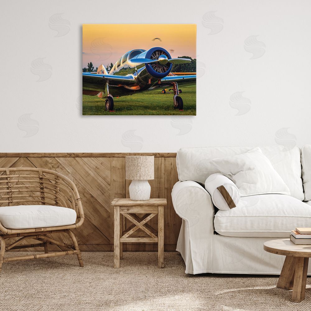 John Slemp Jet Plane in Meadow Summer Sunset Reflection