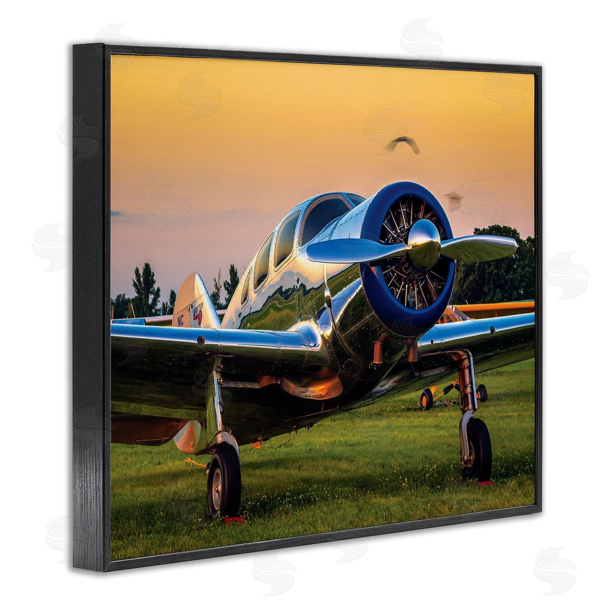 John Slemp Jet Plane in Meadow Summer Sunset Reflection