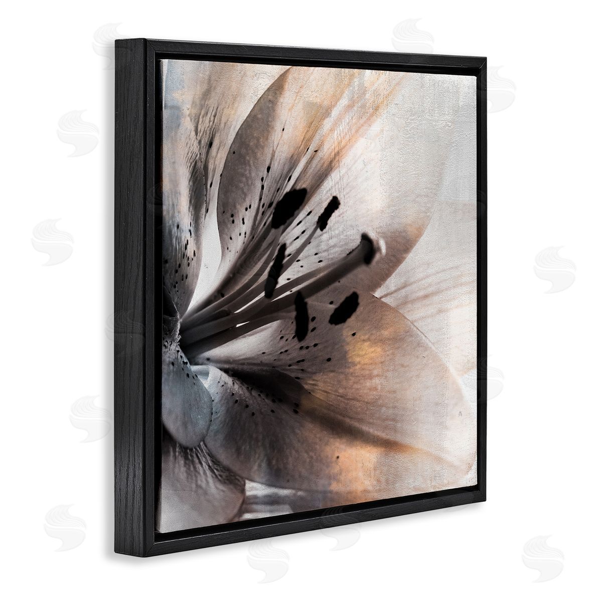 Kim Allen Lily Floral Close Up Black White Petal Detail Black Floating Frame Canvas Wall Art Print