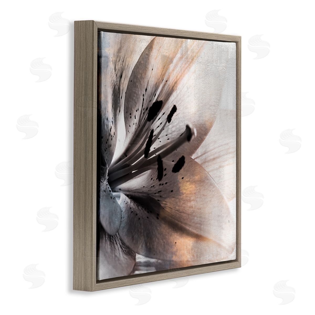 Kim Allen Lily Floral Close Up Black White Petal Detail Brown Floating Frame Canvas Wall Art Print