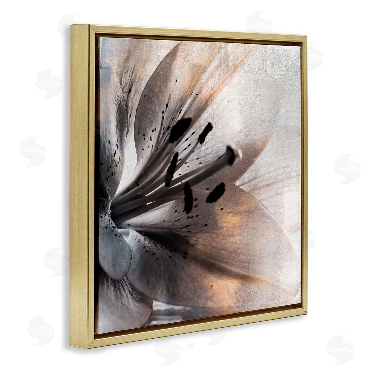 Kim Allen Lily Floral Close Up Black White Petal Detail Gold Floating Frame Canvas Wall Art Print