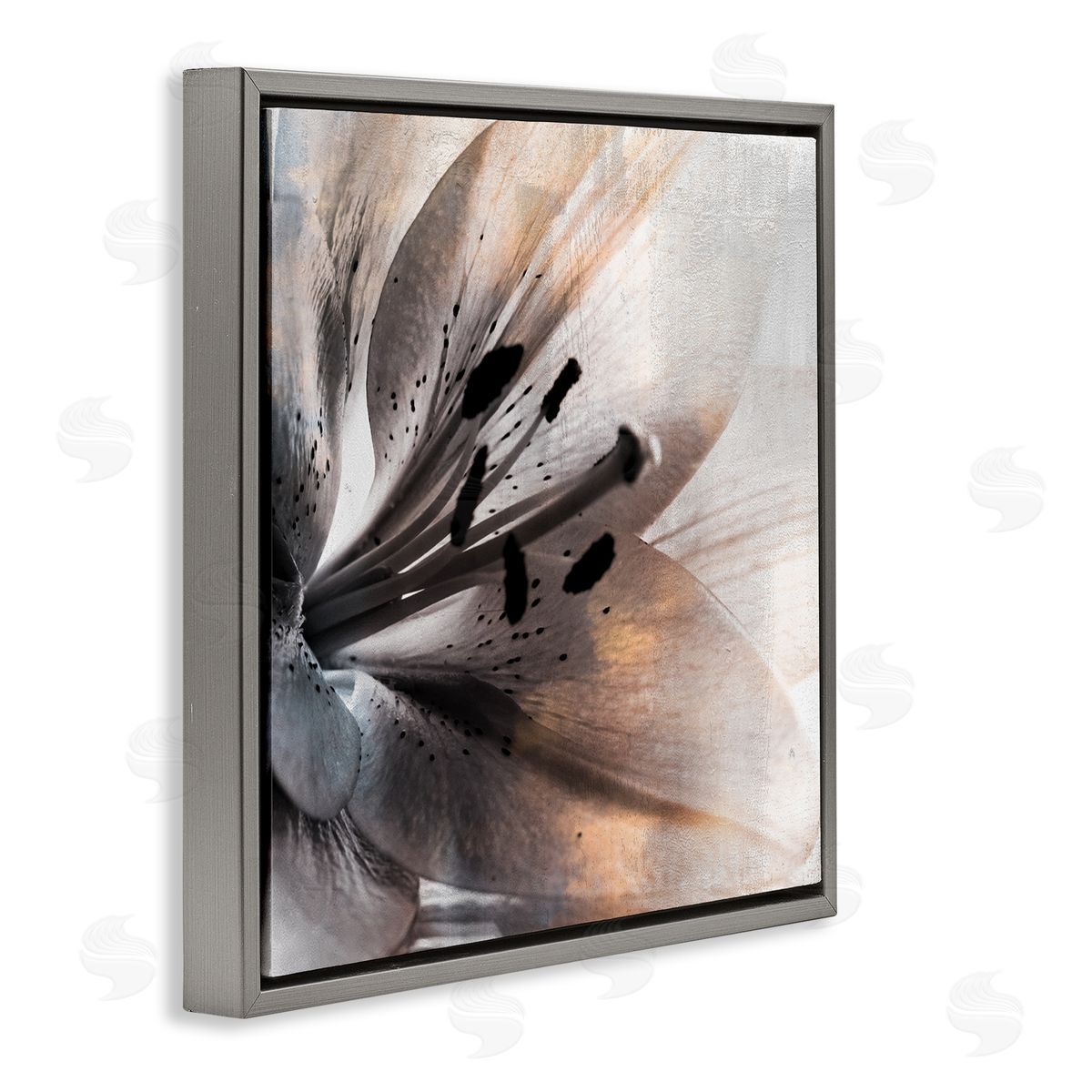 Kim Allen Lily Floral Close Up Black White Petal Detail Gray Floating Frame Canvas Wall Art Print