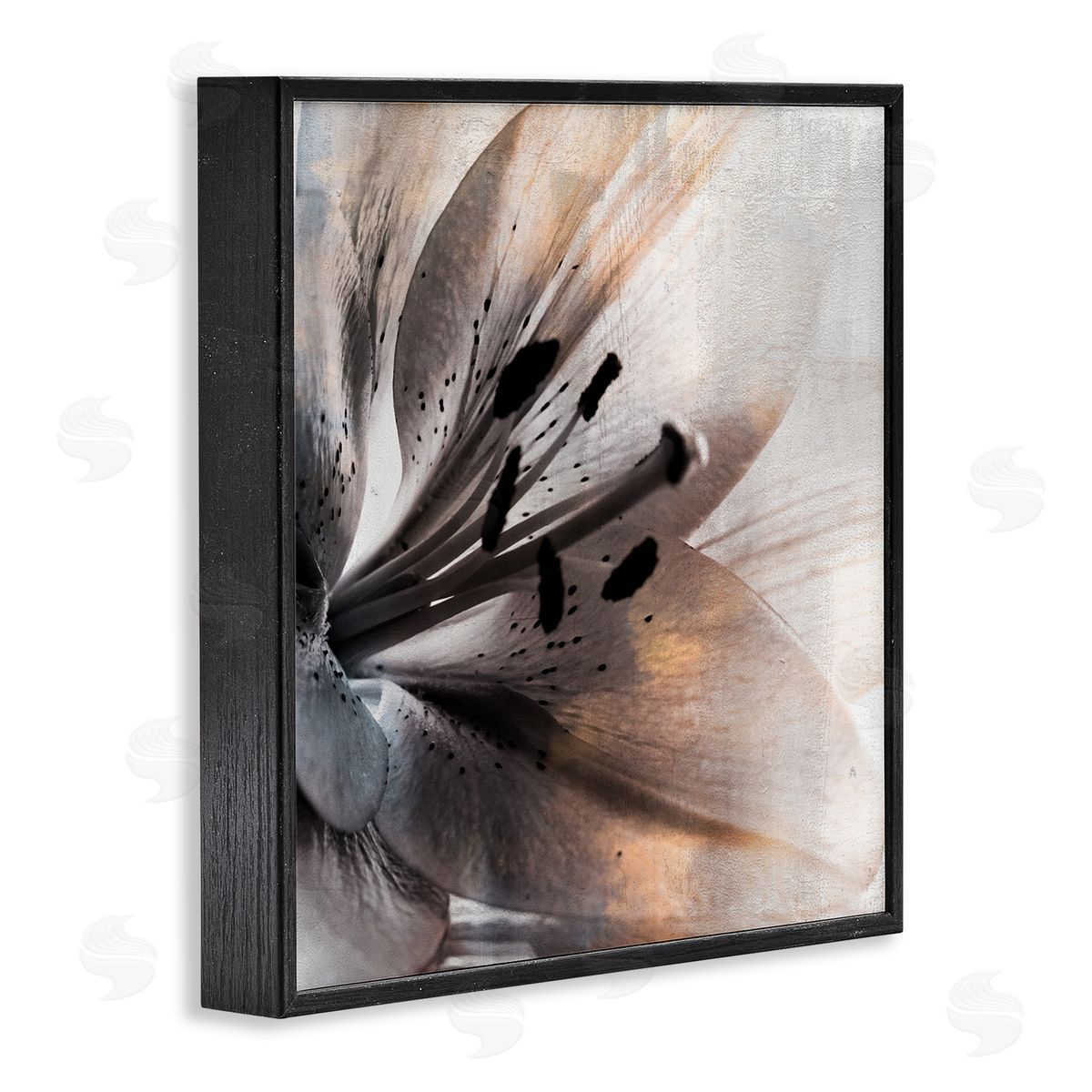 Kim Allen Lily Floral Close Up Black White Petal Detail Black Framed Glicee Wall Art Print