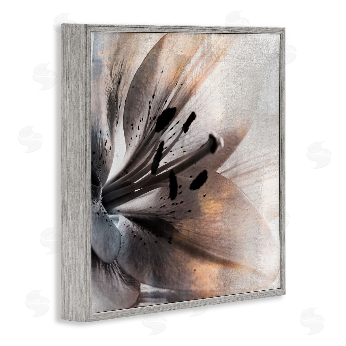 Kim Allen Lily Floral Close Up Black White Petal Detail Gray Framed Glicee Wall Art Print