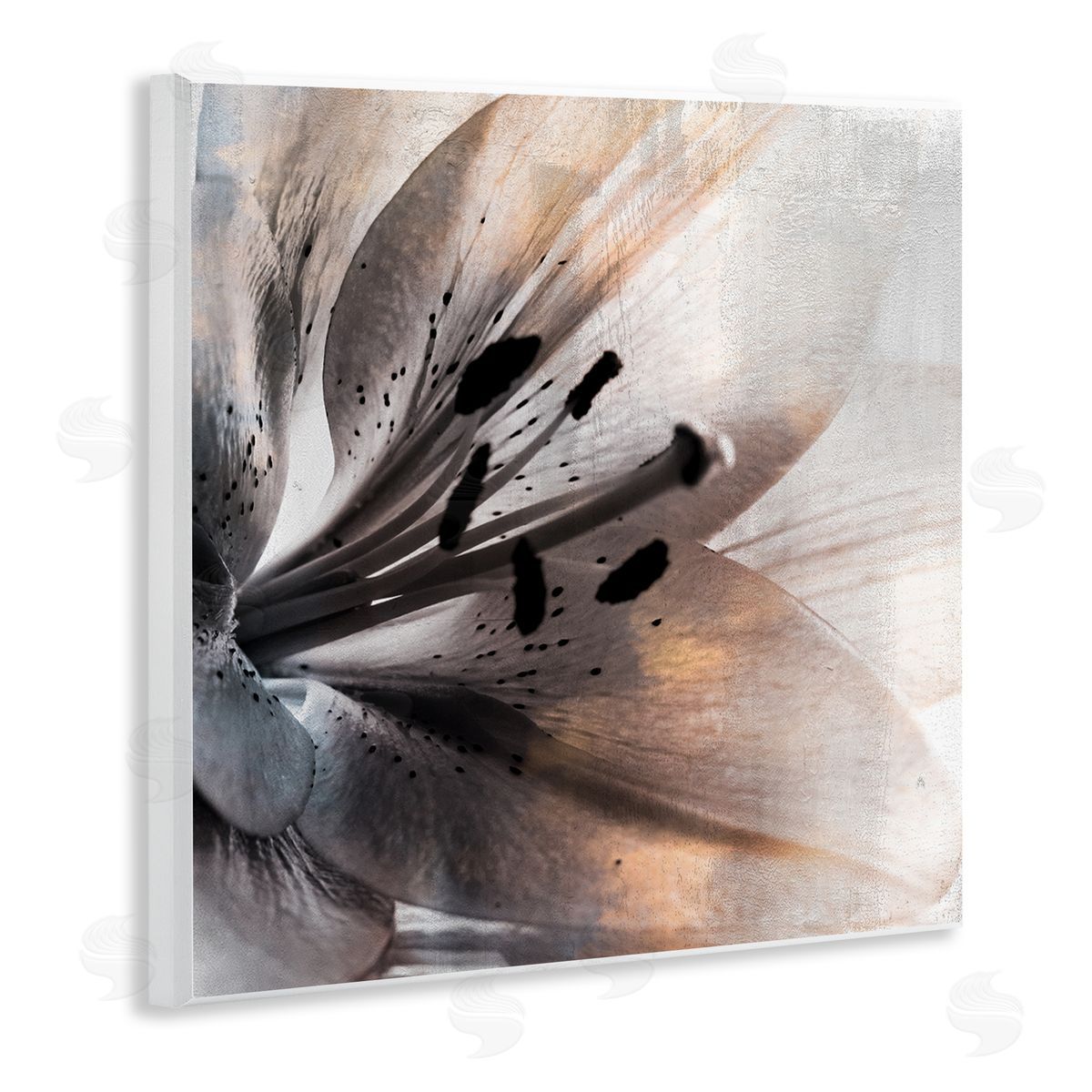 Kim Allen Lily Floral Close Up Black White Petal Detail Wooden Wall Plaque Art Print