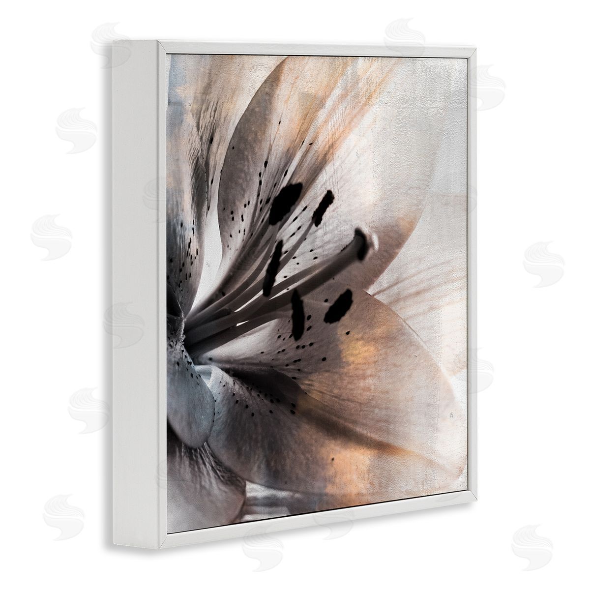Kim Allen Lily Floral Close Up Black White Petal Detail White Framed Glicee Wall Art Print