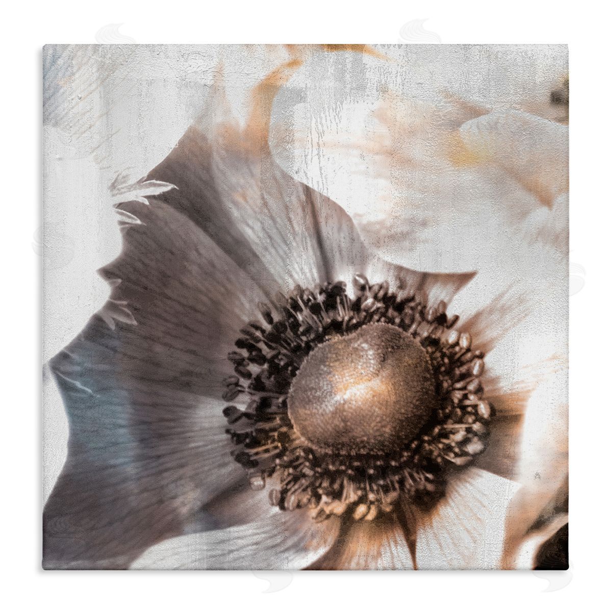 Kim Allen Poppy Flower Close Up Floral Petal Detail Stretched Canvas Wall Art Print