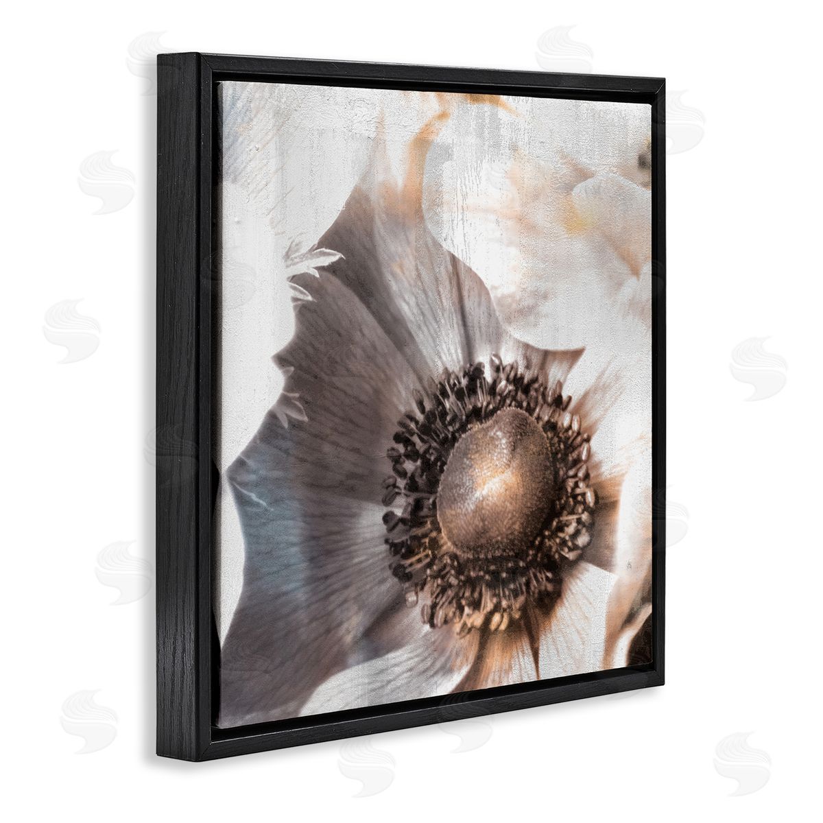 Kim Allen Poppy Flower Close Up Floral Petal Detail Black Floating Frame Canvas Wall Art Print