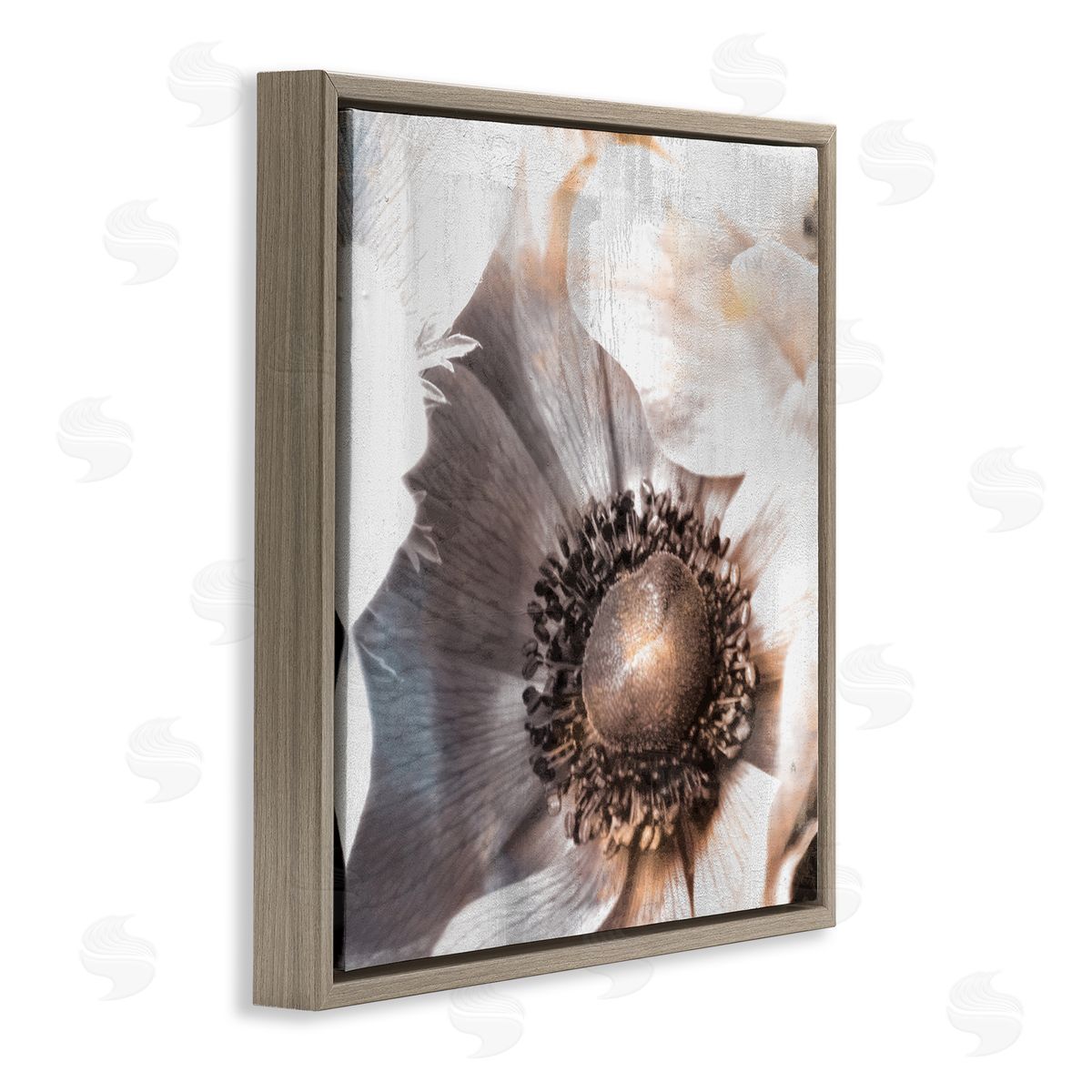 Kim Allen Poppy Flower Close Up Floral Petal Detail Brown Floating Frame Canvas Wall Art Print