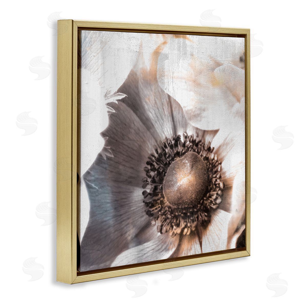Kim Allen Poppy Flower Close Up Floral Petal Detail Gold Floating Frame Canvas Wall Art Print