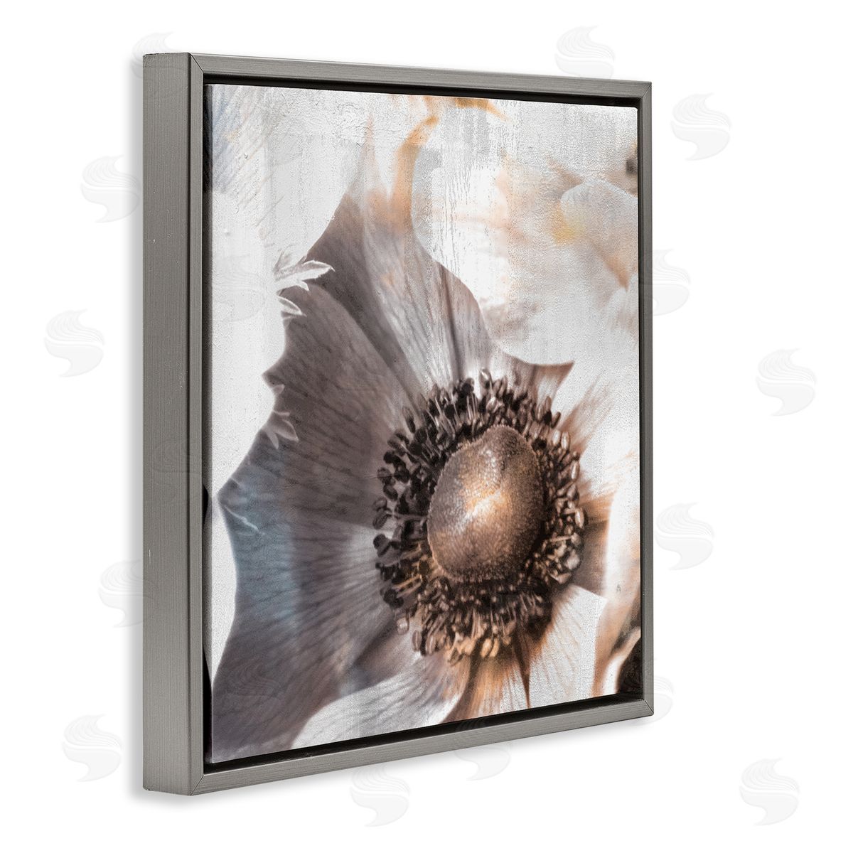 Kim Allen Poppy Flower Close Up Floral Petal Detail Gray Floating Frame Canvas Wall Art Print