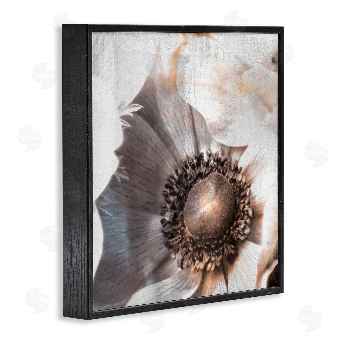 Kim Allen Poppy Flower Close Up Floral Petal Detail Black Framed Glicee Wall Art Print