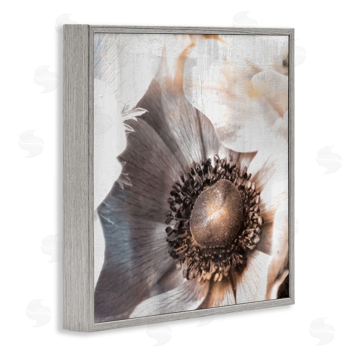Kim Allen Poppy Flower Close Up Floral Petal Detail Gray Framed Glicee Wall Art Print